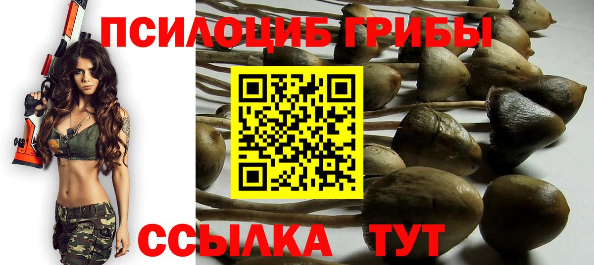 Златоуст  Псилоцибиновые грибы GOLDEN TEACHER  Вход с VPN 
