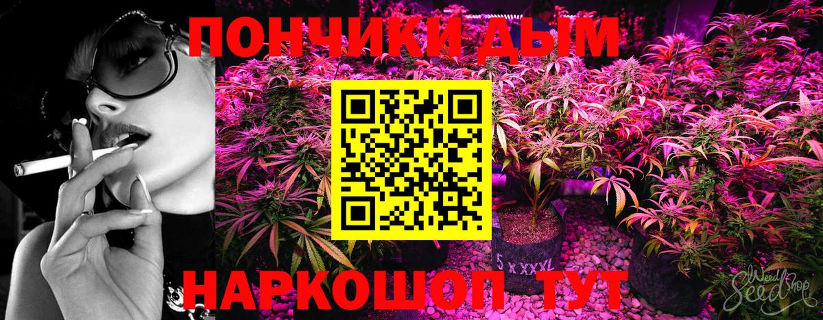 Бошки Шишки AK-47 Златоуст